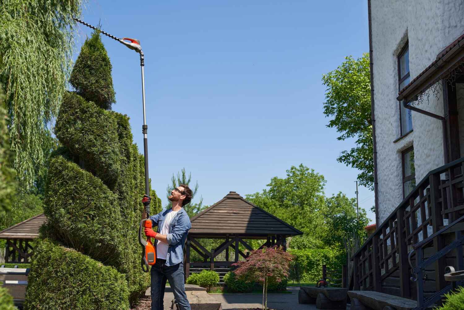 Dead Tree Removal in Miller, SD